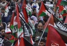 دعوة بباريس لتمكين الصحراويين من تقرير المصير دعوة بباريس لتمكين الصحراويين من تقرير المصير