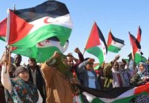 مسيرة حاشدة في باريس لمناهضة احتلال الصحراء الغربية مسيرة حاشدة في باريس لمناهضة احتلال الصحراء الغربية