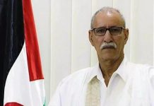 غالي يشكل لجنة للاحتفال بالذكرى الخمسين للجمهورية غالي يشكل لجنة للاحتفال بالذكرى الخمسين للجمهورية