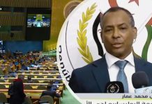 قرار الأمم المتحدة يؤكد تصفية استعمار الصحراء الغربية قرار الأمم المتحدة يؤكد تصفية استعمار الصحراء الغربية