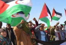 دعوة الفيدرالية الأوروبية لاحترام حق الصحراويين دعوة الفيدرالية الأوروبية لاحترام حق الصحراويين