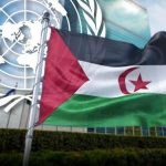 الأمم المتحدة تؤكد الصحراء الغربية قضية تصفية استعمار الأمم المتحدة تؤكد الصحراء الغربية قضية تصفية استعمار