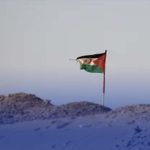 الصحافة الدولية: شريك الاحتلال المغربي بالصحراء الصحافة الدولية: شريك الاحتلال المغربي بالصحراء