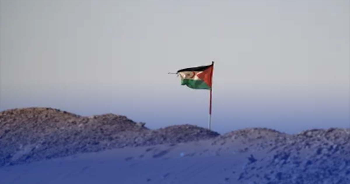 الصحافة الدولية: شريك الاحتلال المغربي بالصحراء الصحافة الدولية: شريك الاحتلال المغربي بالصحراء