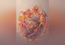 اكتشاف علمي يفتح آفاقا جديدة لعلاجات السرطان المناعية اكتشاف علمي يفتح آفاقا جديدة لعلاجات السرطان المناعية