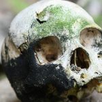 “اكتشاف أحافير بشرية عمرها 773 ألف عام في دولة عربية” "اكتشاف أحافير بشرية عمرها 773 ألف عام في دولة عربية"