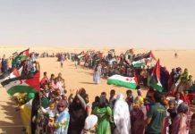 هيئات صحراوية تؤكد التزامها بالنضال للاستقلال هيئات صحراوية تؤكد التزامها بالنضال للاستقلال