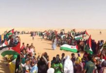 مطالب مستمرة لاحترام الشرعية الدولية بالصحراء الغربية مطالب مستمرة لاحترام الشرعية الدولية بالصحراء الغربية