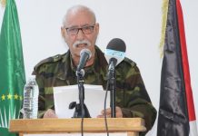 خمسون عاما من الصمود والمقاومة لبناء الدولة خمسون عاما من الصمود والمقاومة لبناء الدولة