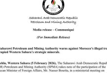 تحذير من الاستغلال غير القانوني للمعادن بالصحراء تحذير من الاستغلال غير القانوني للمعادن بالصحراء