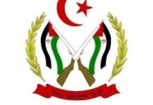 تأسيس الفيدرالية الصحراوية لكرة القدم تأسيس الفيدرالية الصحراوية لكرة القدم