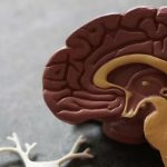 دراسة تربط الشاي والقهوة بانخفاض خطر الخرف دراسة تربط الشاي والقهوة بانخفاض خطر الخرف