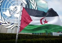 الولايات المتحدة ملتزمة بحل عادل للصحراء الغربية الولايات المتحدة ملتزمة بحل عادل للصحراء الغربية