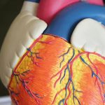 امتناع عن الطعام قبل النوم يعزز صحة القلب امتناع عن الطعام قبل النوم يعزز صحة القلب