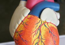 امتناع عن الطعام قبل النوم يعزز صحة القلب امتناع عن الطعام قبل النوم يعزز صحة القلب