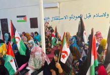 المرأة الصحراوية تواصل عطائها في اليوم الوطني للأم المرأة الصحراوية تواصل عطائها في اليوم الوطني للأم