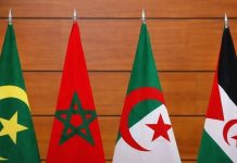 الولايات المتحدة تسعى لجولة جديدة من المفاوضات حول الصحراء الولايات المتحدة تسعى لجولة جديدة من المفاوضات حول الصحراء