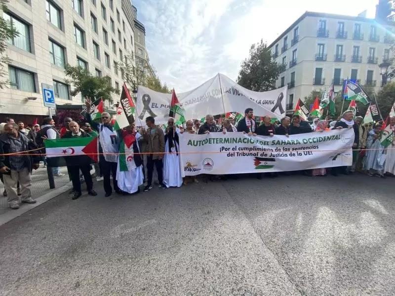 منظمات إسبانية تجدد دعمها لقضية الشعب الصحراوي منظمات إسبانية تجدد دعمها لقضية الشعب الصحراوي