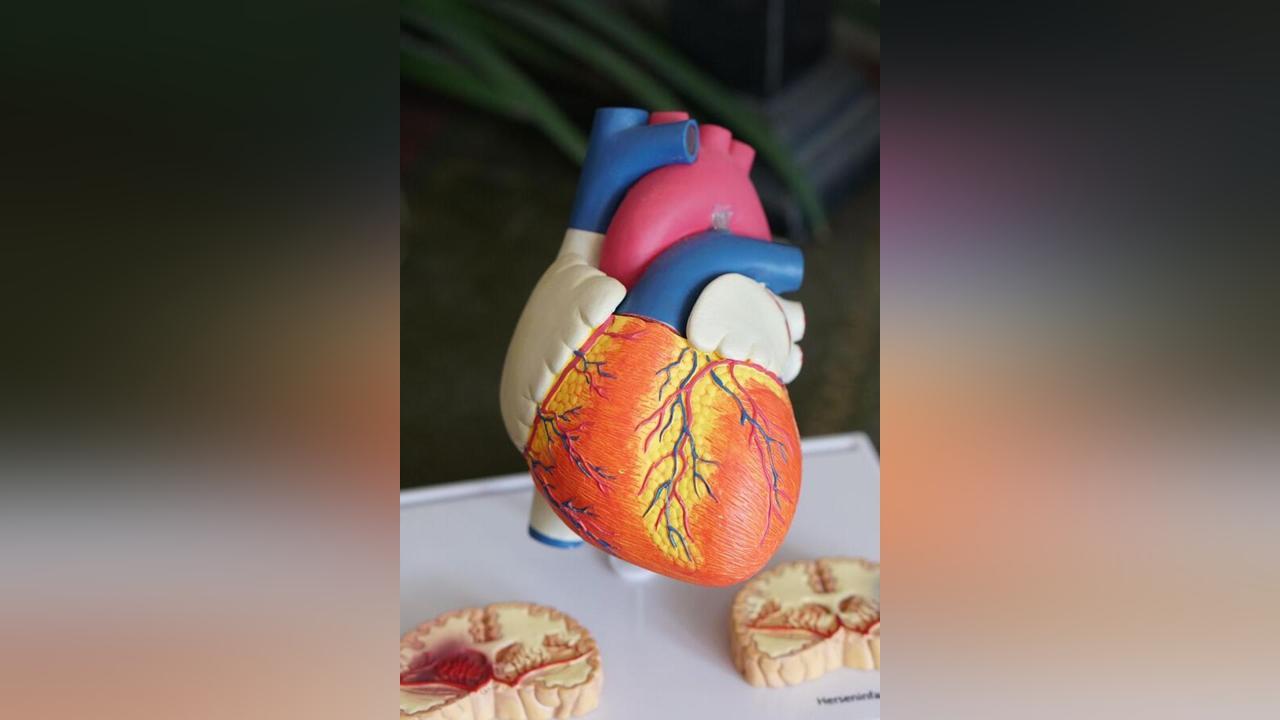 دراسة تؤكد تأثير النوم في غرفة حارة على القلب دراسة تؤكد تأثير النوم في غرفة حارة على القلب