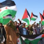 الدكرى الـ 50 لإعلان الجمهورية : محطة مفصلية في مسار كفاح الشعب الصحراوي الدكرى الـ 50 لإعلان الجمهورية : محطة مفصلية في مسار كفاح الشعب الصحراوي