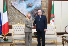 الجزائر وإيطاليا تؤكدان دعم حل سياسي للصحراء الغربية الجزائر وإيطاليا تؤكدان دعم حل سياسي للصحراء الغربية