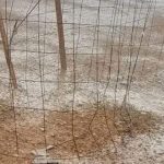 تساقطات مطرية تلحق أضرارا بولاية الداخلة تساقطات مطرية تلحق أضرارا بولاية الداخلة