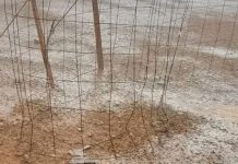 تساقطات مطرية تلحق أضرارا بولاية الداخلة تساقطات مطرية تلحق أضرارا بولاية الداخلة