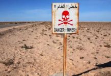 اليوم الدولي للتوعية بخطر الألغام واستثمار السلام اليوم الدولي للتوعية بخطر الألغام واستثمار السلام