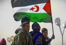 ندوة بجامعة سيدني حول حق تقرير مصير الصحراويين ندوة بجامعة سيدني حول حق تقرير مصير الصحراويين