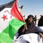 قضية الصحراء الغربية ملف مفتوح بعد 50 عاما من الاحتلال قضية الصحراء الغربية ملف مفتوح بعد 50 عاما من الاحتلال