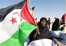 قضية الصحراء الغربية ملف مفتوح بعد 50 عاما من الاحتلال قضية الصحراء الغربية ملف مفتوح بعد 50 عاما من الاحتلال