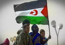 نواب وسياسيون يطالبون بحق تقرير مصير الصحراويين نواب وسياسيون يطالبون بحق تقرير مصير الصحراويين