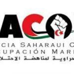 الخارجية السويدية تستقبل أمينتو حيدار لبحث تطورات القضية الصحراوية الخارجية السويدية تستقبل أمينتو حيدار لبحث تطورات القضية الصحراوية