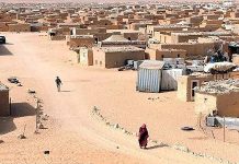 تحذيرات من استمرار الانتهاكات في الصحراء الغربية تحذيرات من استمرار الانتهاكات في الصحراء الغربية