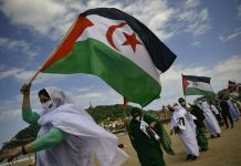 حين تتهاوى أسطورة الحسم المغربي في الصحراء الغربية حين تتهاوى أسطورة الحسم المغربي في الصحراء الغربية