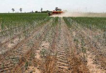 Et si l’enjeu climatique devenait maintenant la priorité de l’Union africaine Et si l’enjeu climatique devenait maintenant la priorité de l’Union africaine