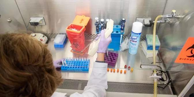 « On ne sait pas grand-chose de la variole du singe, il faut surréagir pour éviter une nouvelle maladie mondiale » « On ne sait pas grand-chose de la variole du singe, il faut surréagir pour éviter une nouvelle maladie mondiale »