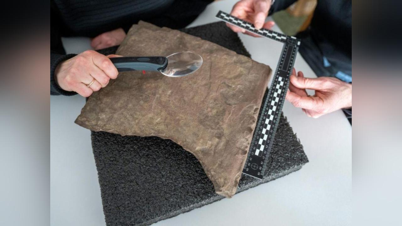 La plus vieille pierre runique au monde découverte en Norvège La plus vieille pierre runique au monde découverte en Norvège