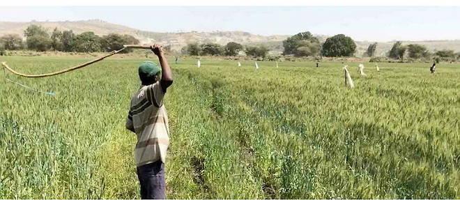 Afrique : « Comment inciter les investisseurs à avoir confiance » Afrique : « Comment inciter les investisseurs à avoir confiance »