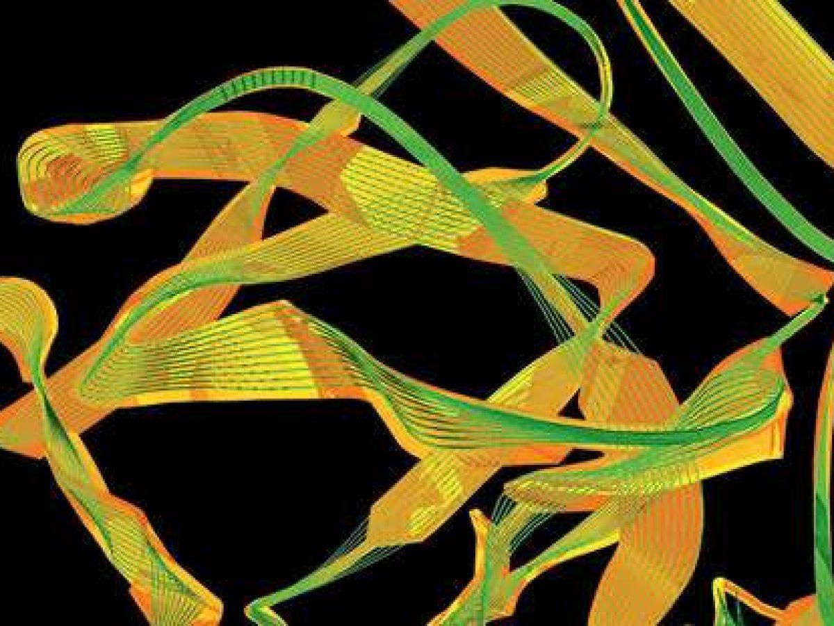 Un ARN efficace contre l’hémophilie Un ARN efficace contre l’hémophilie