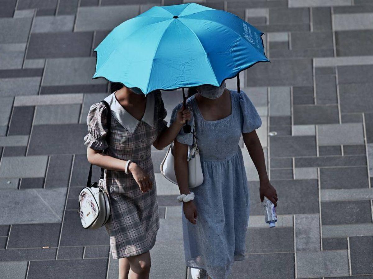 Risques liés aux canicules : ce que disent les chiffres de Santé Publique France Risques liés aux canicules : ce que disent les chiffres de Santé Publique France