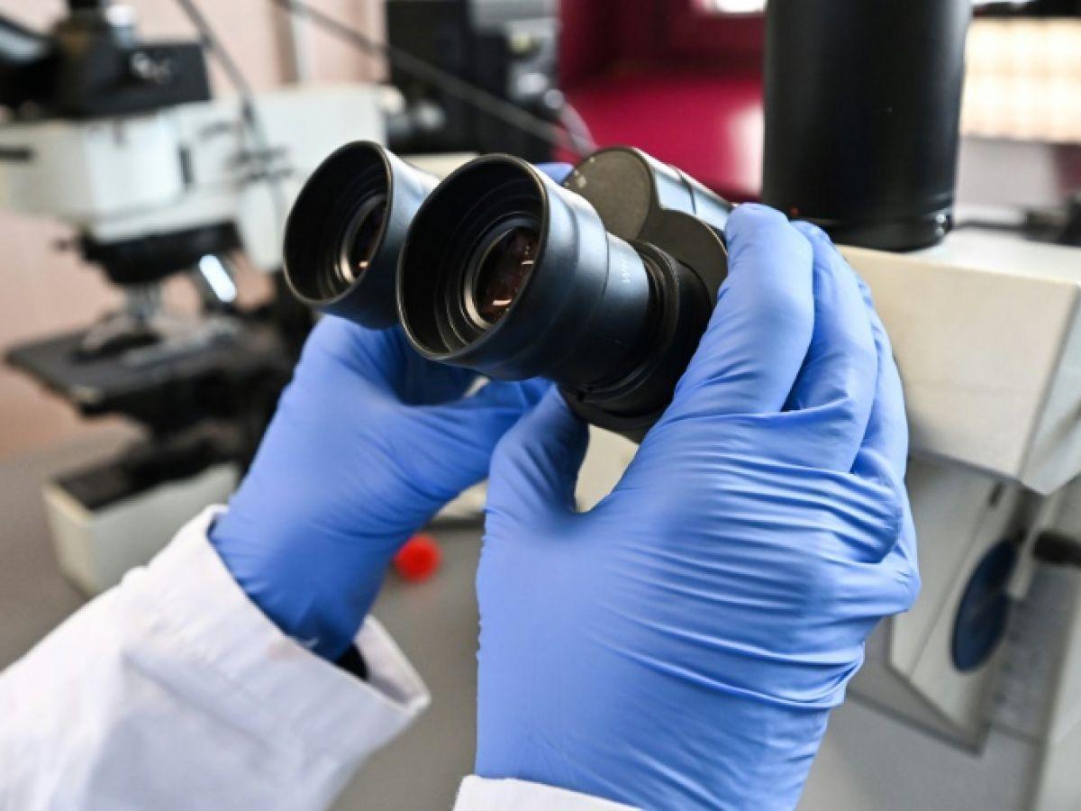 Deux chercheurs concurrents affirment avoir créé des simili-embryons humains Deux chercheurs concurrents affirment avoir créé des simili-embryons humains