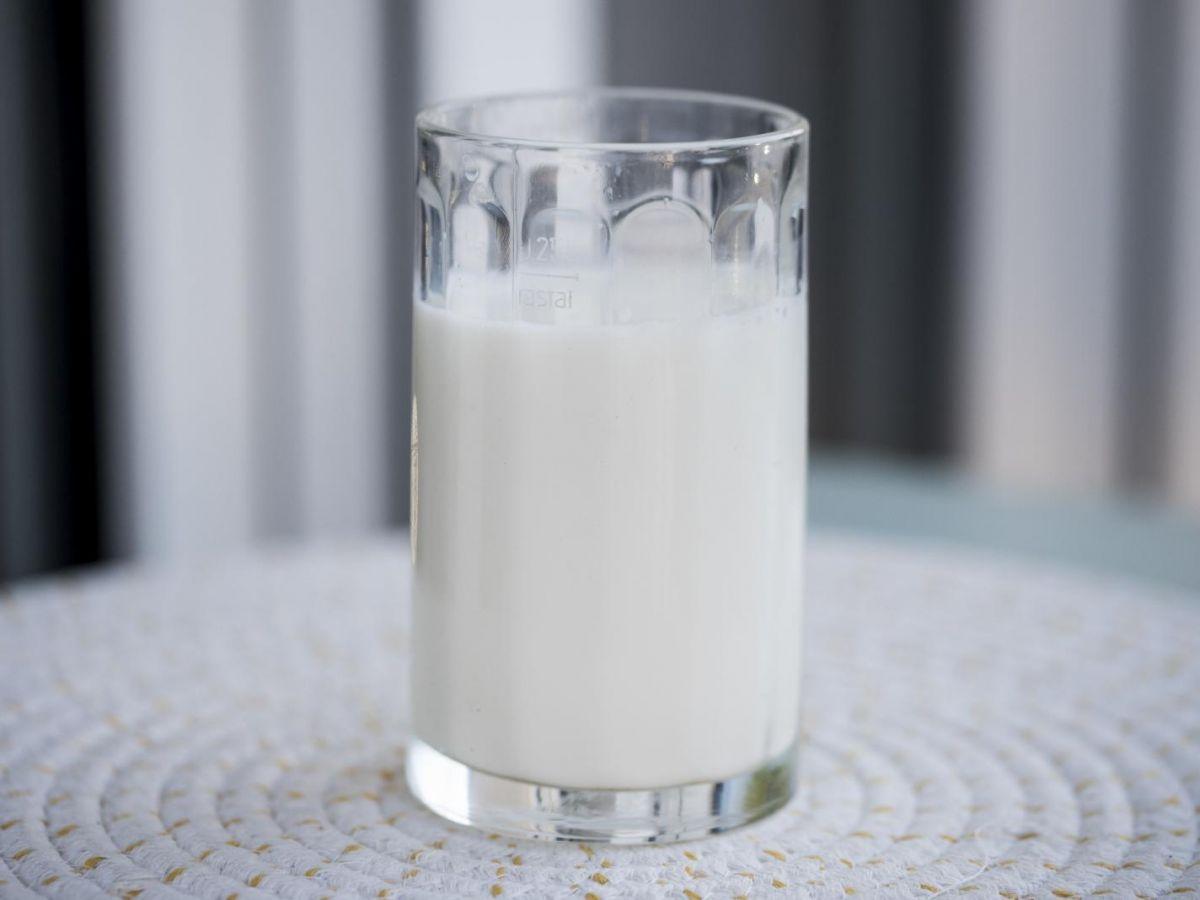 De la caséine dans les pansements pour mieux cicatriser De la caséine dans les pansements pour mieux cicatriser