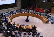 Onze pays africains exigent une meilleure représentation à l’ONU Onze pays africains exigent une meilleure représentation à l'ONU