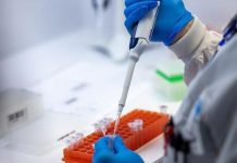 L’OMS intensifie sa réponse pour enrayer la flambée de mpox en Afrique (ONU) L’OMS intensifie sa réponse pour enrayer la flambée de mpox en Afrique (ONU)