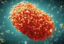 Mpox en Afrique : les enfants particulièrement menacés par la nouvelle variante (OMS-UNICEF) Mpox en Afrique : les enfants particulièrement menacés par la nouvelle variante (OMS-UNICEF)