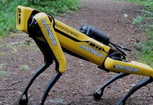 Biomimétisme: les Robots Peuvent-Ils Devenir Plus Performants que les Animaux ? Biomimétisme: les Robots Peuvent-Ils Devenir Plus Performants que les Animaux ?