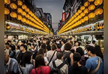 Humains Plus Actifs que Animaux Sauvages Terrestres Humains Plus Actifs que Animaux Sauvages Terrestres