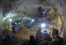 S’Adapter ou Disparaître dans le Régime Alimentaire S’Adapter ou Disparaître dans le Régime Alimentaire