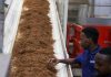 Zimbabwe Inaugurates Africa’S Largest Tobacco Processing Fac Zimbabwe Inaugurates Africa'S Largest Tobacco Processing Fac